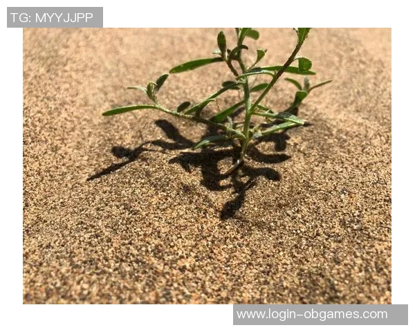 深度探讨张娜在DOTA2世界中的成长与挑战之旅